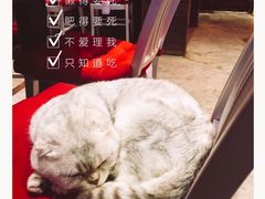 -MIKAKU(万达广场上海宝山店)