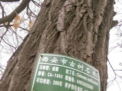 -西安秦岭野生动物园