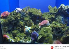 -石家庄海洋公园