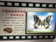-上海昆虫博物馆
