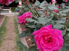 -人民公园(罗湖区)