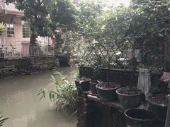 -小洲村