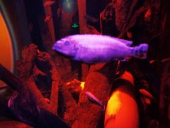 -沈阳海洋探索中心