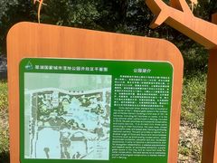 -翠湖国家城市湿地公园