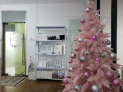 -Lab Season惜辰颜究社