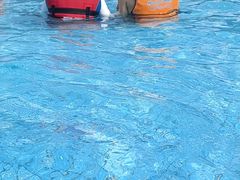 -青鱼湾水上乐园