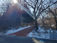 -长春市南湖公园