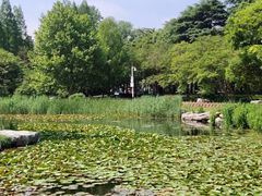 -青岛海滨风景区