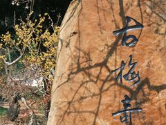 -无锡梅园公园