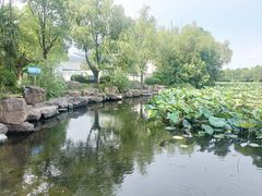 -紫薇公园