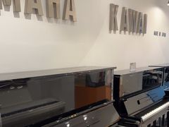 -属音琴行(成山路店)