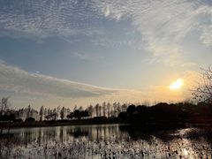-贡湖湾湿地公园