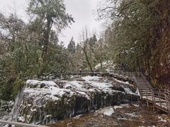 -龙苍沟森林公园
