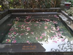 -厦门日月谷温泉渡假村