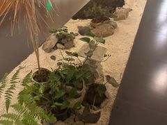-玖合素手·轻养足浴SPA(云纺大悦城店)