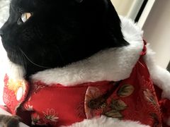-美联众合24小时·皮肤科·外科·全科诊疗中心(华苑分院)