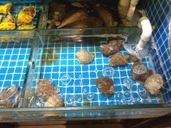 -烧货·活海鲜炭烧(湖滨商业街店)