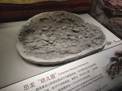 -辽宁古生物博物馆