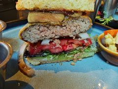 -bluefrog蓝蛙(水游城店)