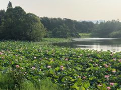 -福建鲤鱼洲酒店