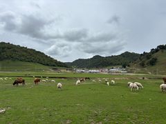 -关山草原