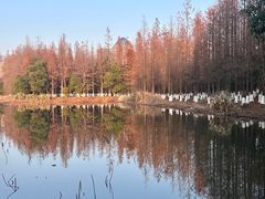 -艾溪湖湿地公园