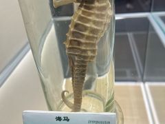 -广东中医药博物馆