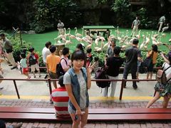 -新加坡飞禽公园