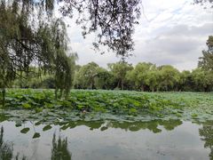 -北陵公园