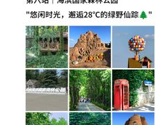 -日照海滨国家森林公园