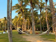 -三亚亚龙湾红树林度假酒店