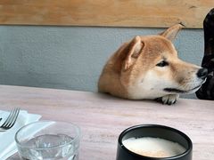 -RAC BAR(安福路店)