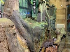-洛阳龙门海洋馆