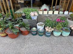 -本分冒菜直营(滨江店)