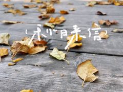 -云蒙山风景区