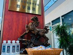 -东日国际动物医院·CT·心脏专科(桃源分院)