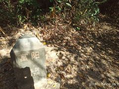 -午潮山国家森林公园