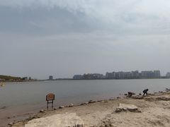 -九龙湖公园