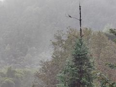 -敬亭山风景名胜区