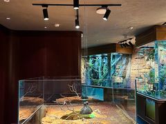 -帕帕拉兹宠物(亚洲旗舰店)