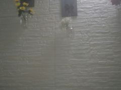 -琴芳艺所艺术培训.古筝钢琴