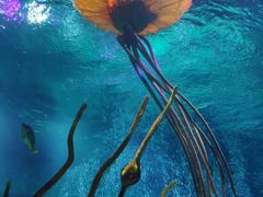 -沈阳海洋探索中心