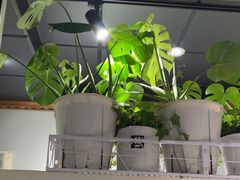 -懒人盐府人家(航天桥店)