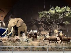 -贝林大翅鲸简餐厅(国家海洋博物馆店)
