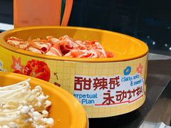 -龍歌自助小火锅(市南金茂湾店)