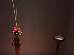 -觀芷隐轩