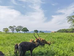 -良渚古城遗址公园