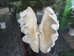 -中国湿地博物馆
