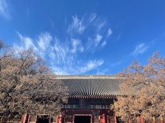 -香山公园