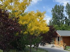 -东郊湿地公园